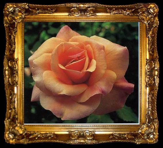 framed  unknow artist Still life floral, all kinds of reality flowers oil painting  257, ta009-2